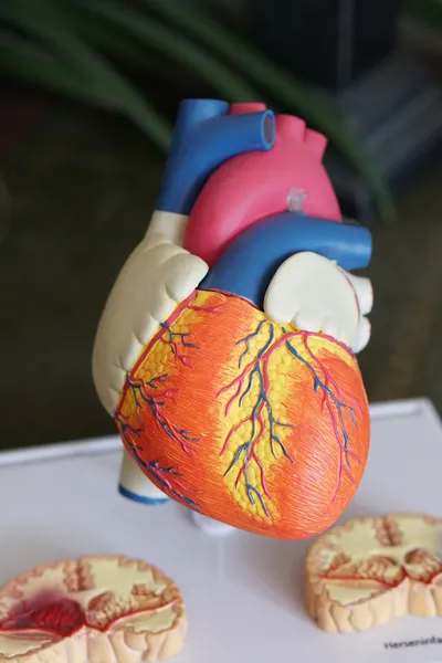 heart healthy foods  हार्ट को हेल्दी रखने वाले इन फूड्स को करें डाइट में शामिल