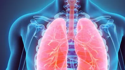 secret to healthy lungs  स्वस्थ फेफड़ों का राज
