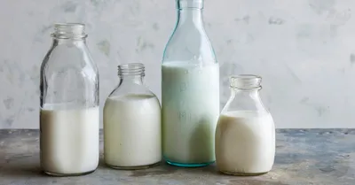 benefits of milk  चाहते हैं ​हड्डियों की मजबूती  तो जरुरी है दूध और धूप का कनेक्शन