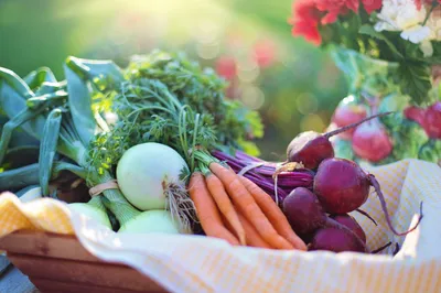 beetroot  क्या शुगर के मरीजों को चुकुंदर खाना चाहिए