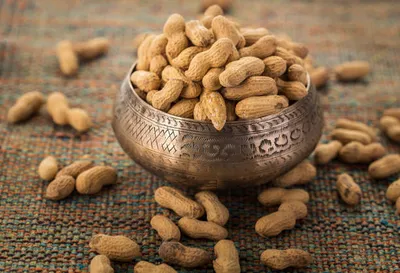 peanuts for sexual health  क्या मूंगफली का सेवन बढ़ाता है सेक्स पावर 