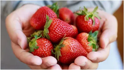 benefits of eating strawberries  स्ट्रॉबेरी के फायदे